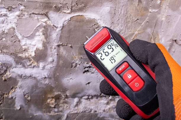 Crawl Space Mold Removal in Tarentum, PA