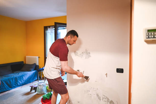 Best Mold Removal Specialists  in Tarentum, PA